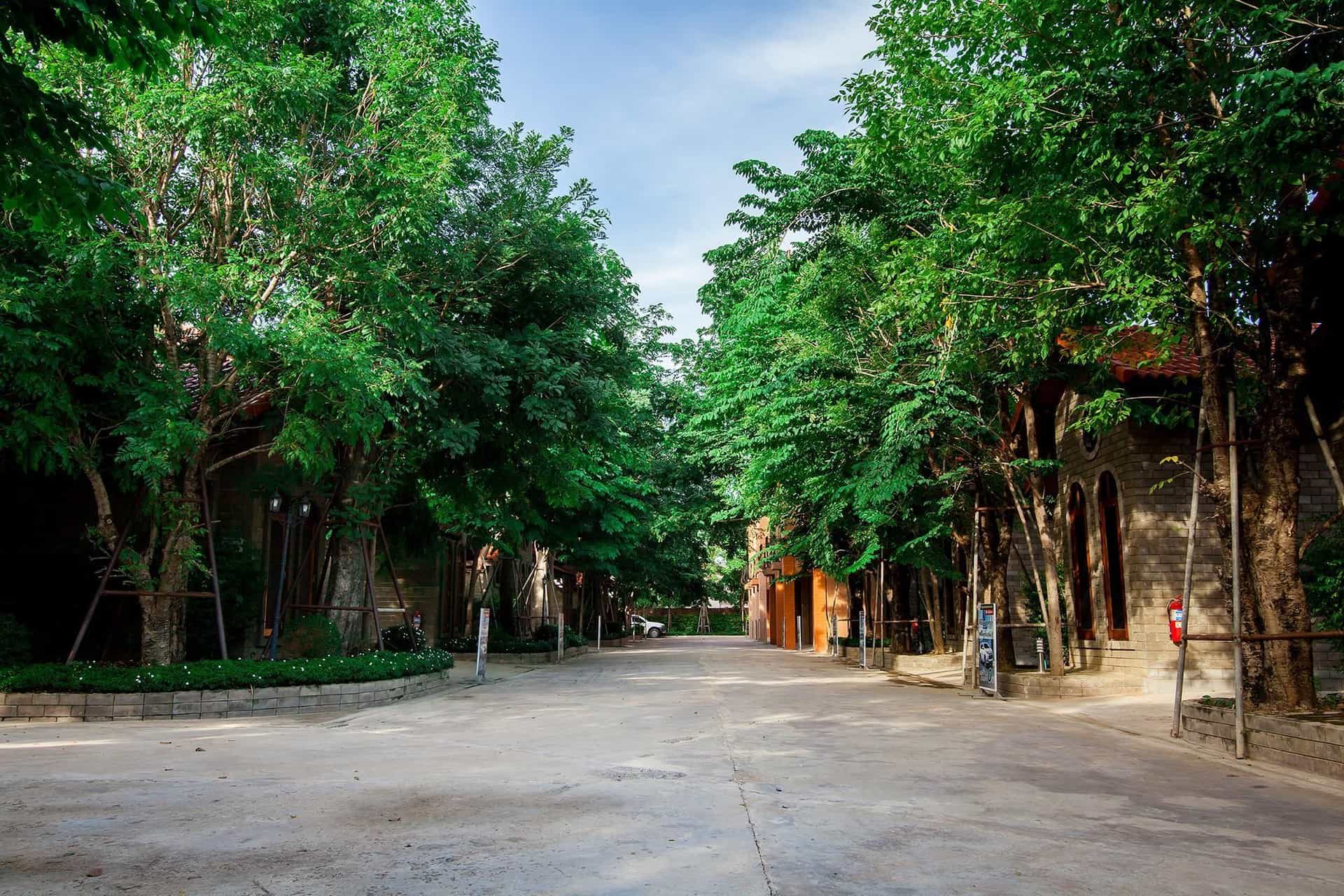 แฟนตาซี รีสอร์ท แฟนตาซี รีสอร์ท