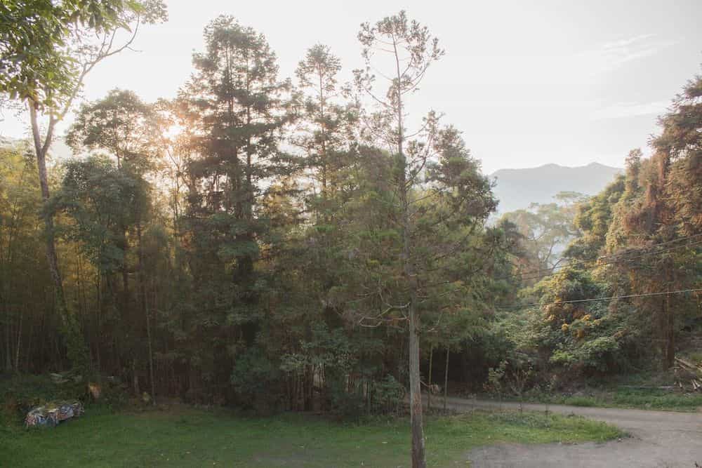 Xitou Star Homestay Xitou Star Homestay