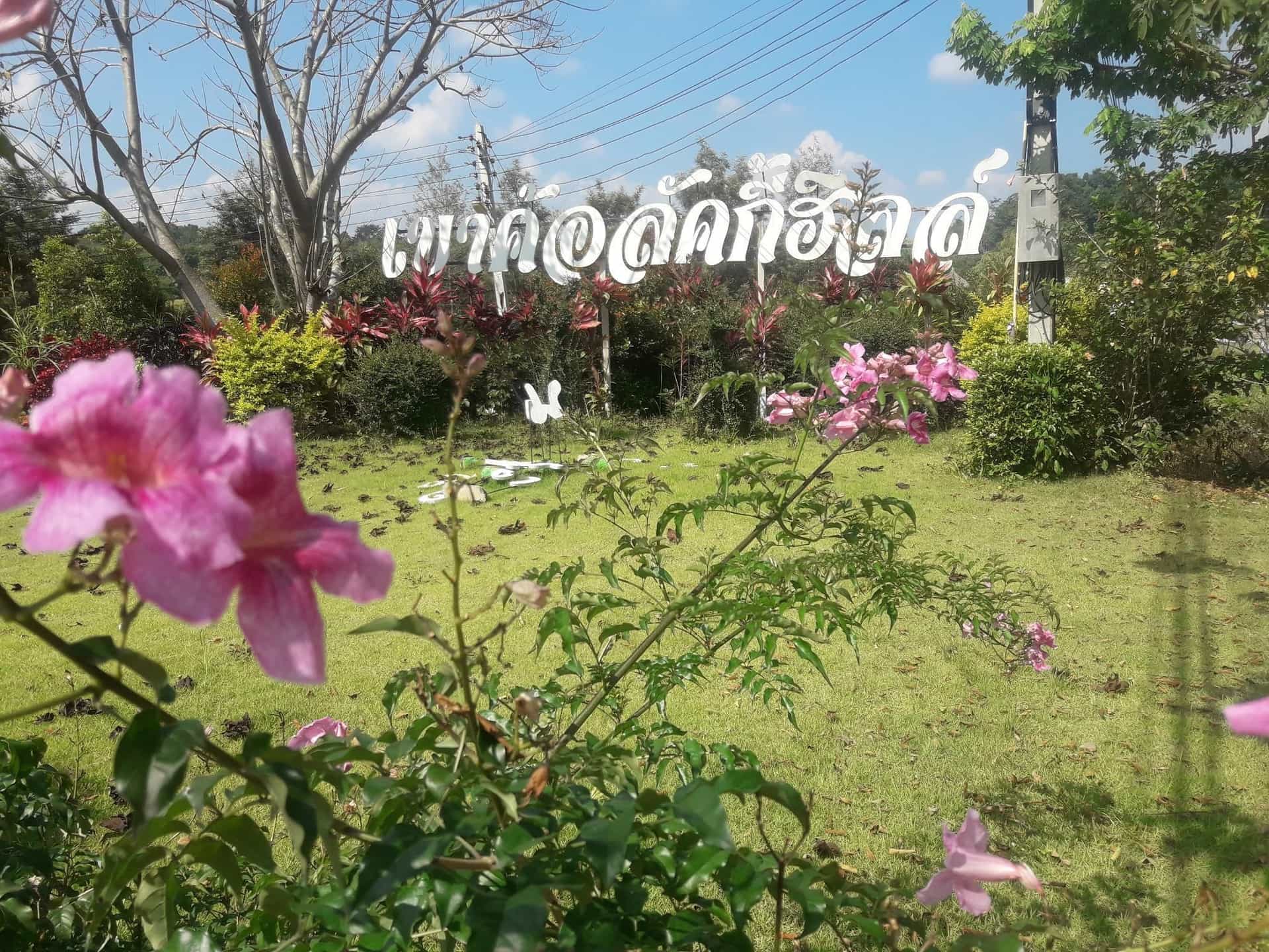 Lucky Hill Resort