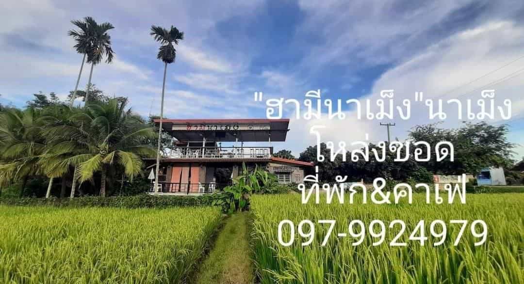 ฮามีนาเม็ง