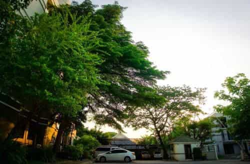Baan Boonanan