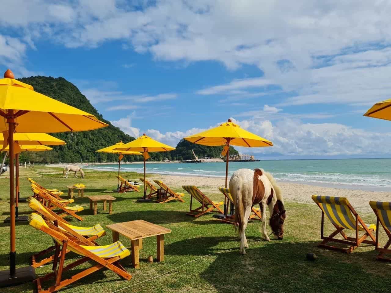 เพิ่มสุข รีสอร์ต เพิ่มสุข รีสอร์ต