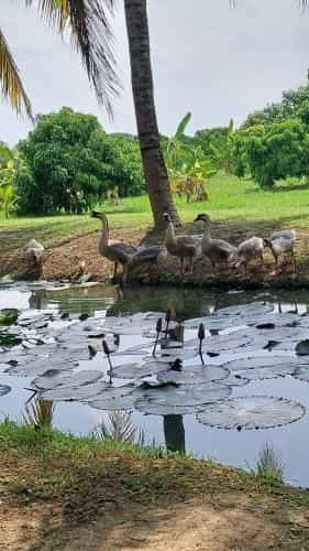 Baan Suan Na Ra Tho Baan Suan Na Ra Tho