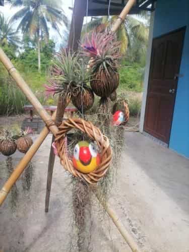 Baan Kaemsai Baan Kaemsai