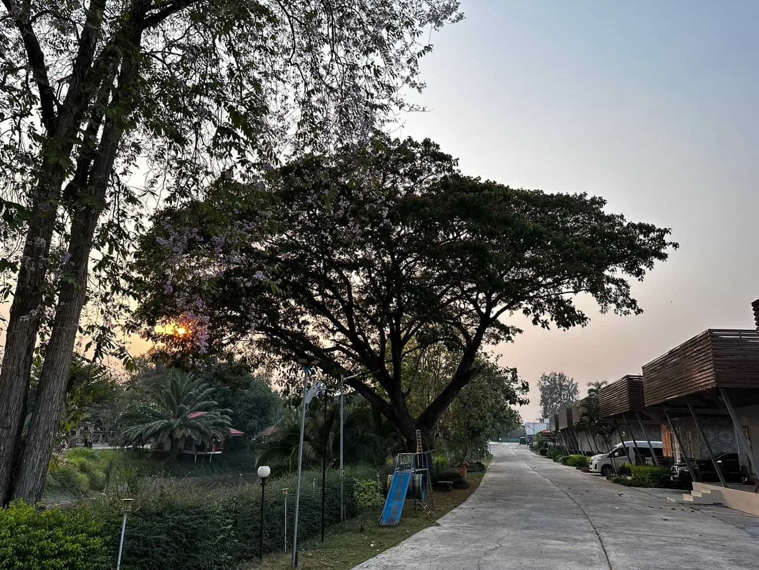 เอ็มเจ รีสอร์ท หนองไผ่