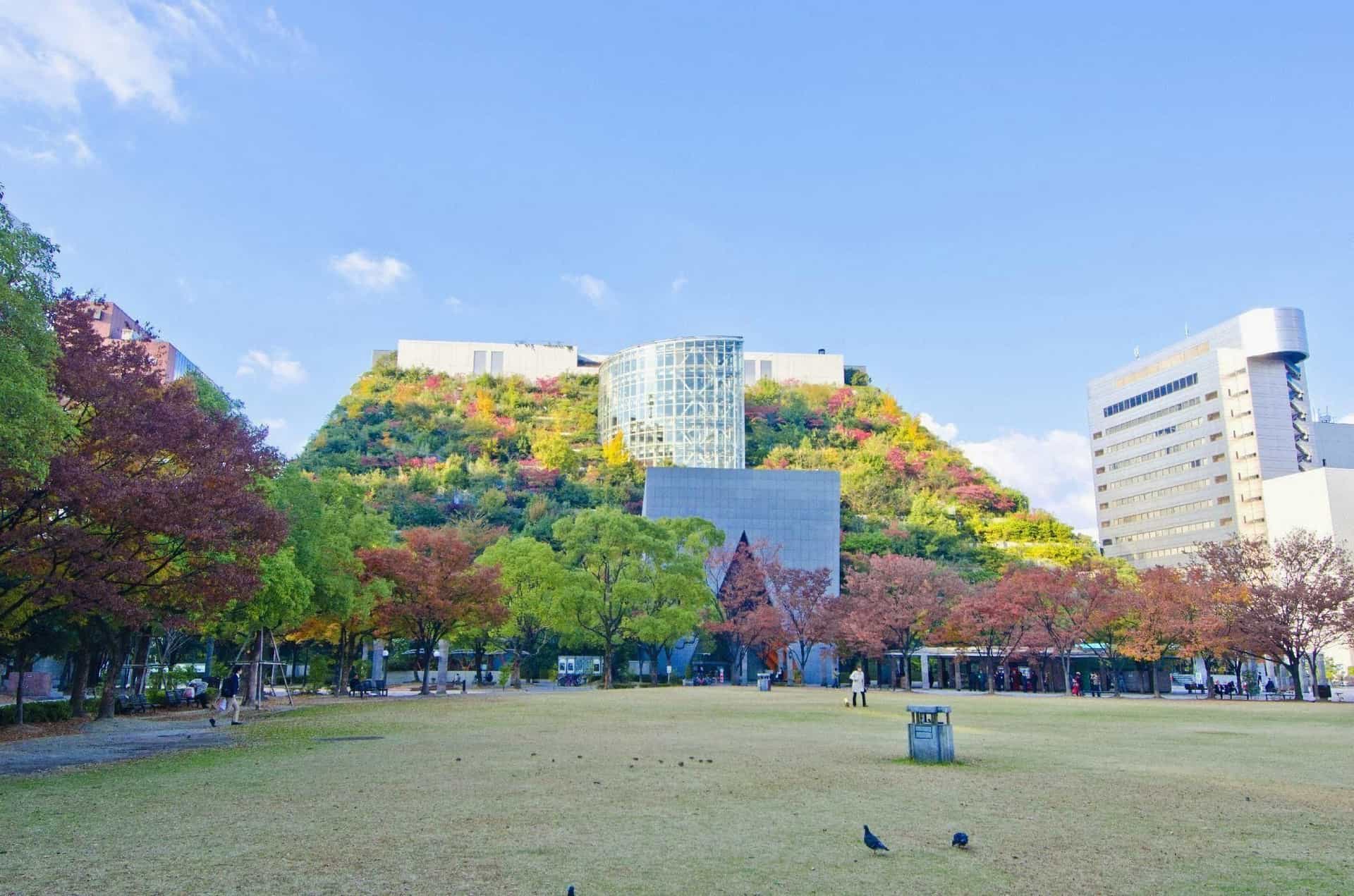 DD HOTEL NAKASU