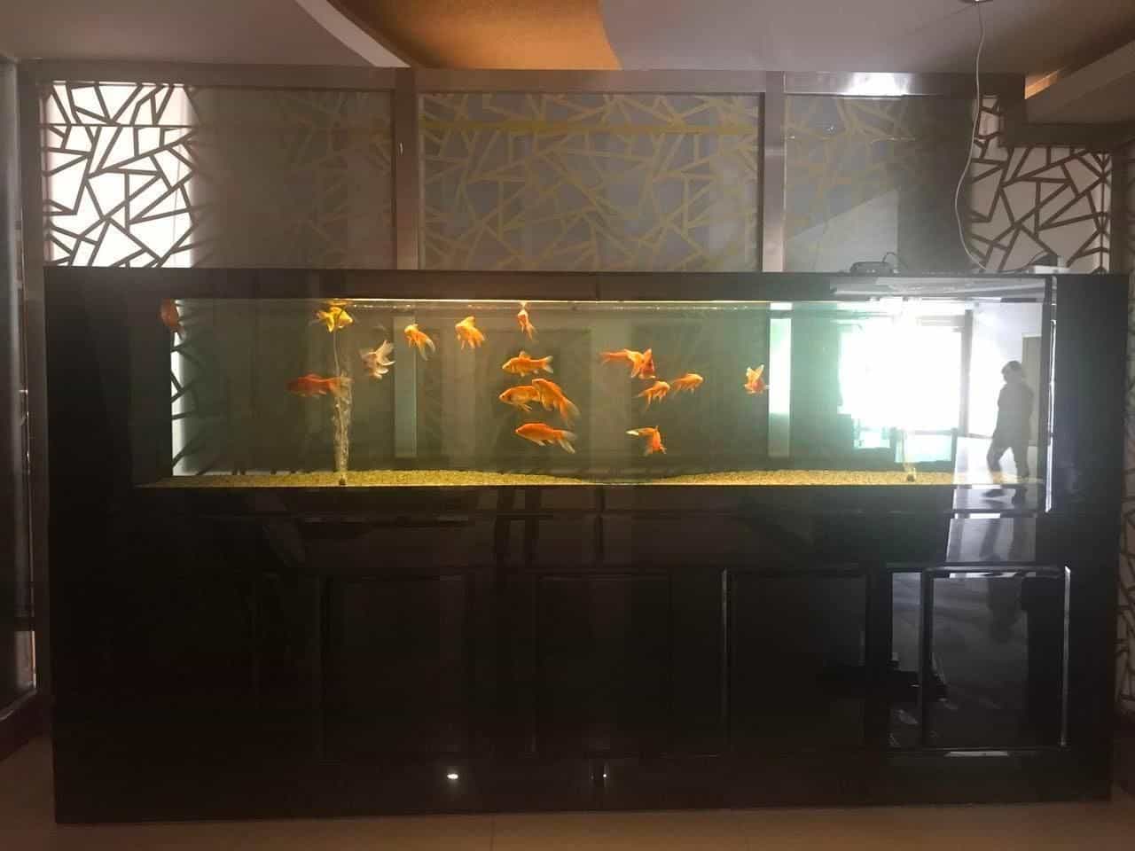7 Days Premium Baoding Zhuozhou Development Zone