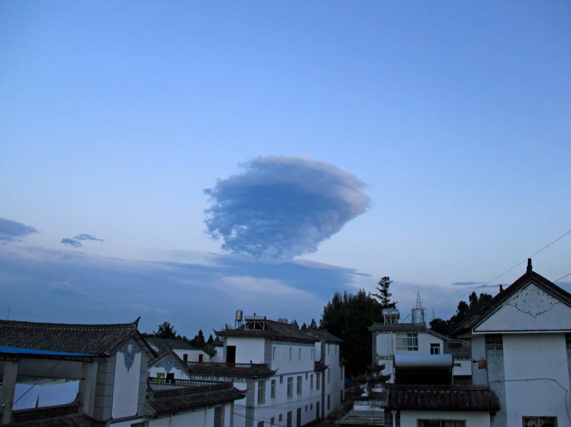 Dali Lily Pad Inn & International Guest House