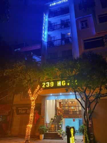 โรงแรม 239