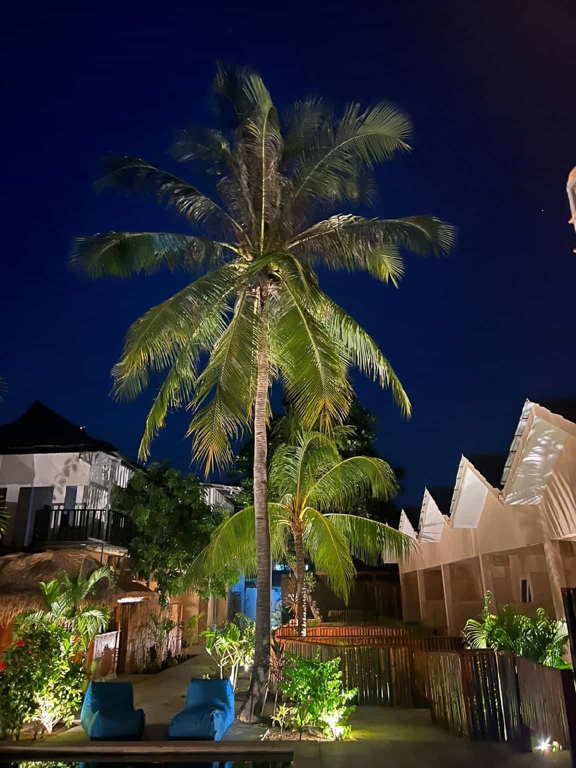 Living Trawangan Hotel