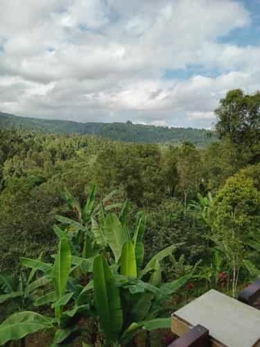 Kanaya Homestay Munduk