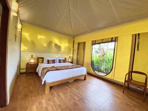 Paddy's Glamping Paddy's Glamping