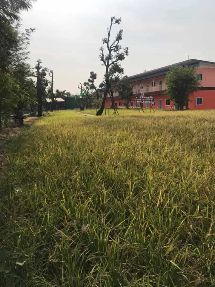 Poh Rak Resort Poh Rak Resort