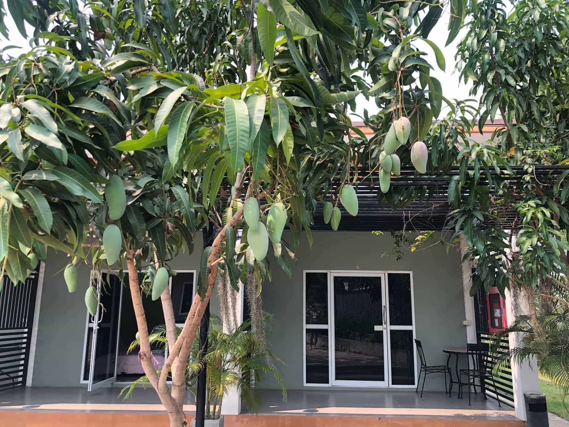 Chokdee Resort Nonghan