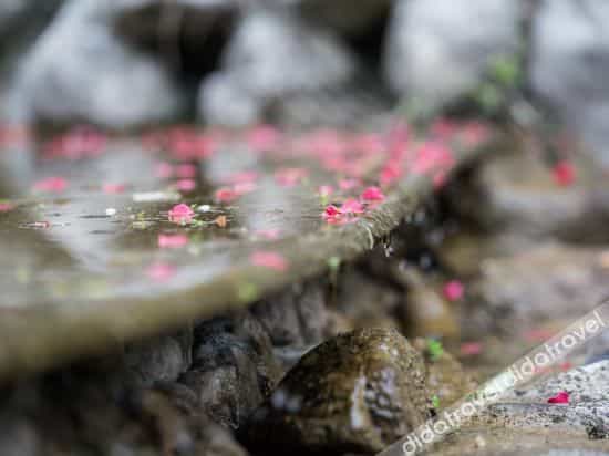 Tongqu Yinquan Hot Spring Resort