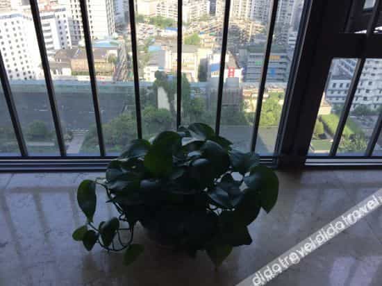 Wutongyu Theme Apartment