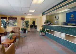 Comfort Inn Sarasota