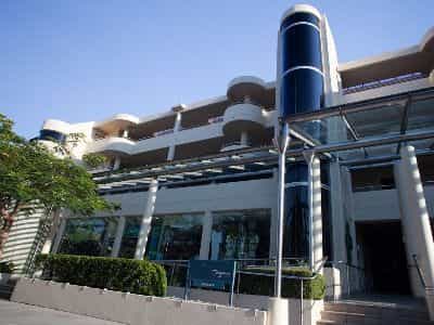 Tingirana Noosa