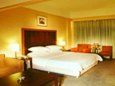 Golden Coast Lawton