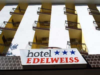 Edelweiss