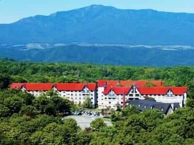 Green Plaza Karuizawa