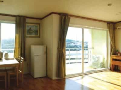 Swiss Condominium