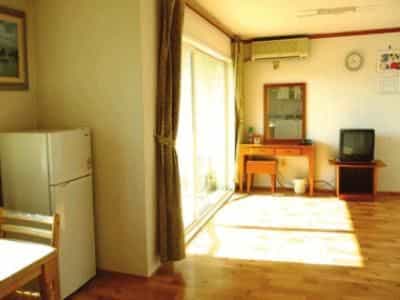 Swiss Condominium