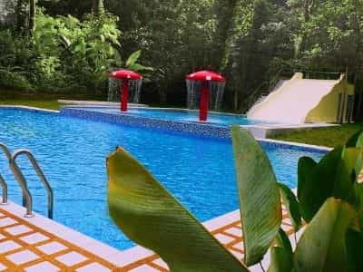 M Suites