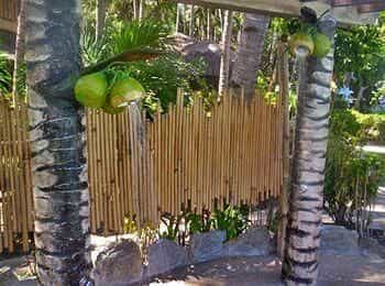 Coco Beach Island Resort Coco Beach Island Resort