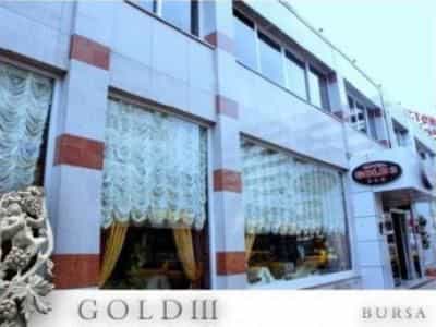 Gold 3