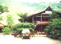 Lan Anh