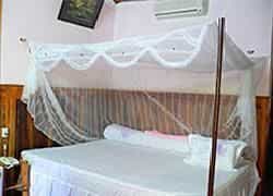 Lan Anh