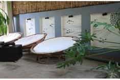 Frangipani Villa-60s Hotel