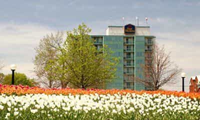 Best Western Plus Gatineau-Ottawa