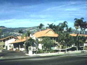 Best Western Pepper Tree