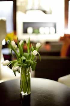 Hotel Vintage Plaza