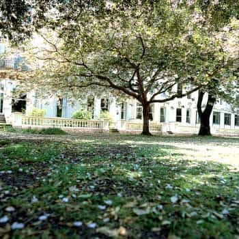 BEST WESTERN CLIFTON HOTEL