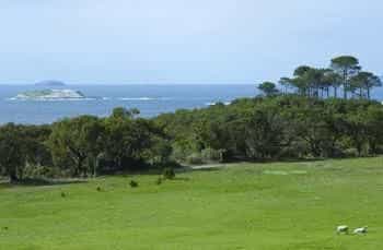 Torbay Sea View Holiday Apartments