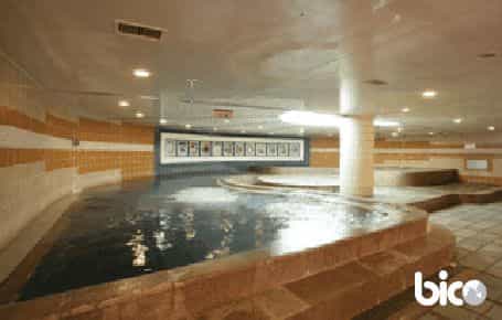 Baekam Hanwha Resort