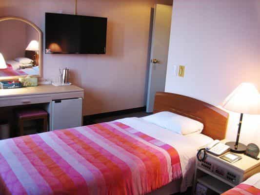 Brown Tourism Hotel