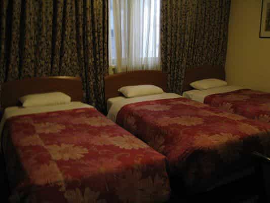 Brown Tourism Hotel