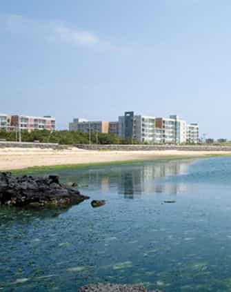 Phoenix Island Jeju Phoenix Island Jeju