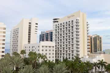 The James Royal Palm