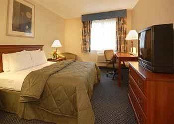 COMFORT INN HADLEY