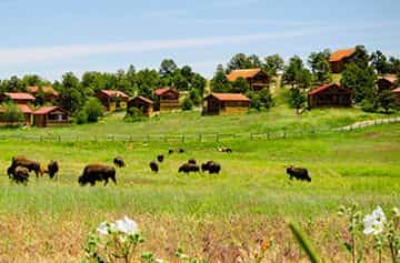 Zion Mountain Ranch