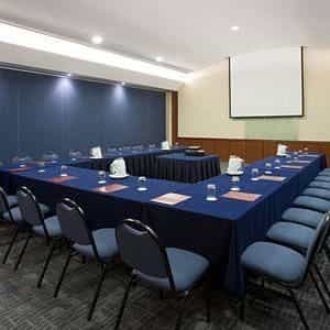 FIESTA INN REYNOSA
