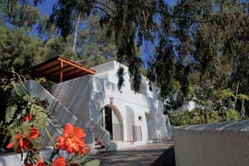 Telis