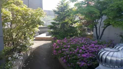Hyundai Residence