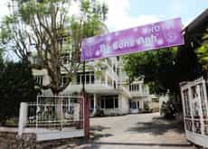 Dandelion Hotel