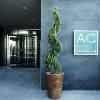 Ac By Marriott General Alava
